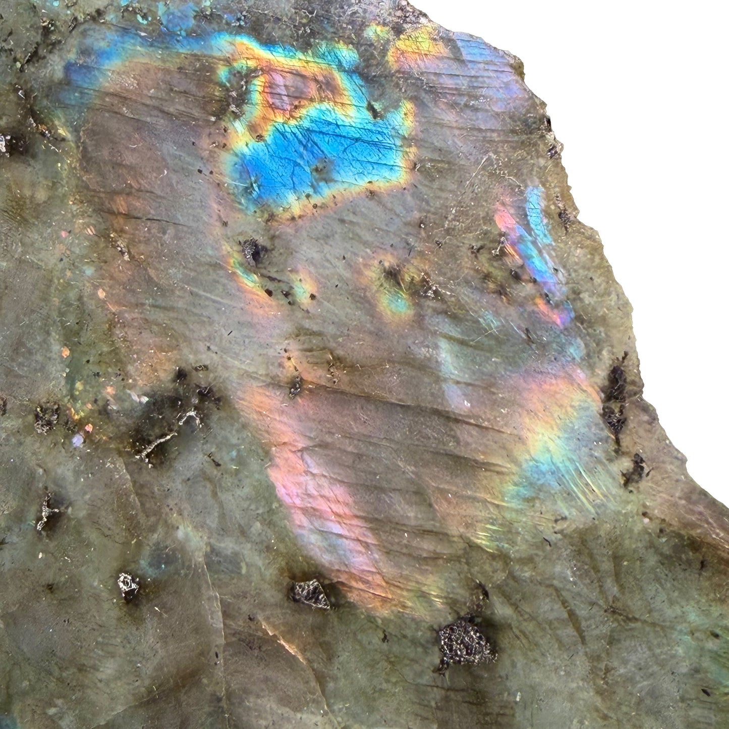 Labradorite Polished Slice