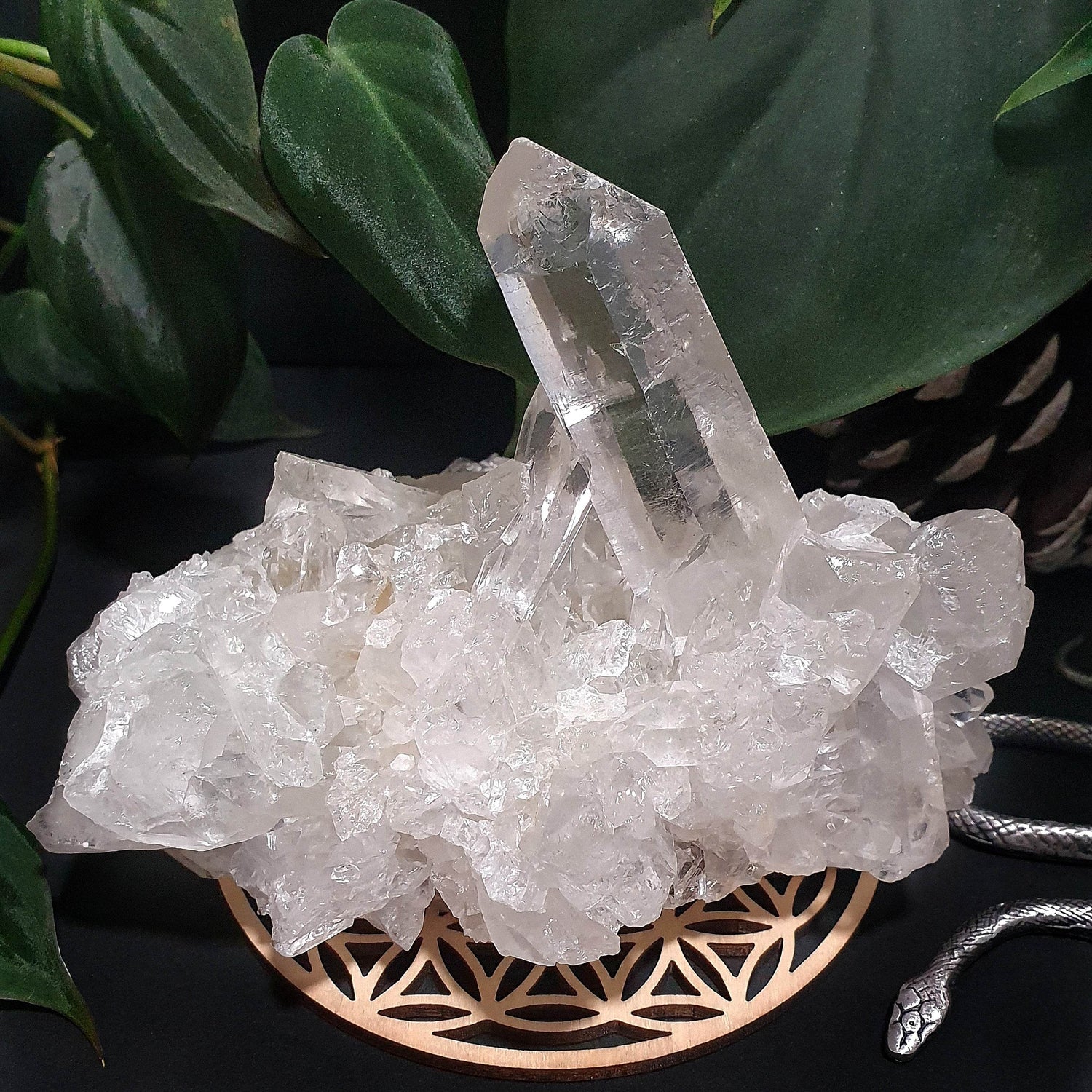 The Crystals - Daughter of Swords