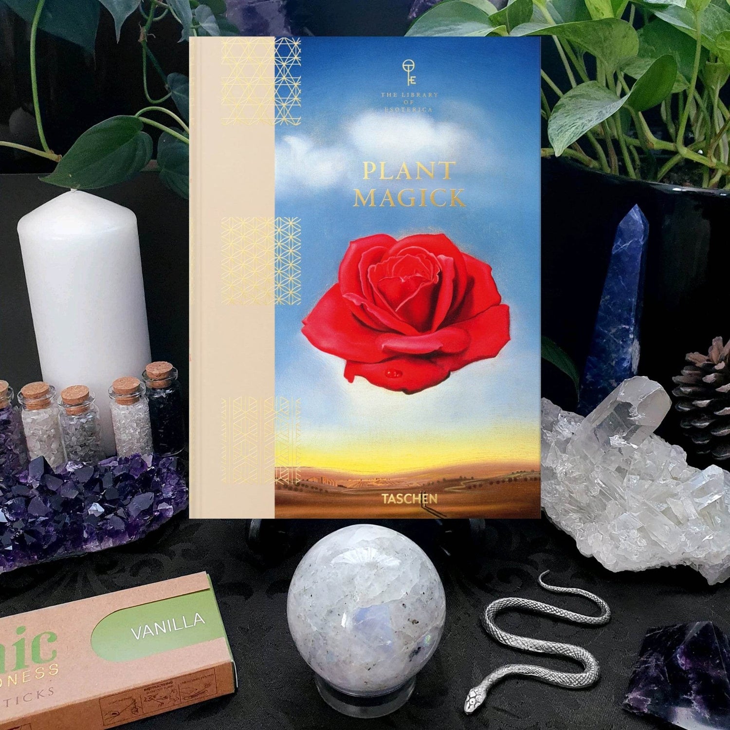 The Library - Daughter of Swords