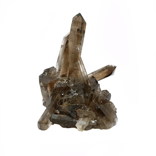 Smoky Quartz Cluster