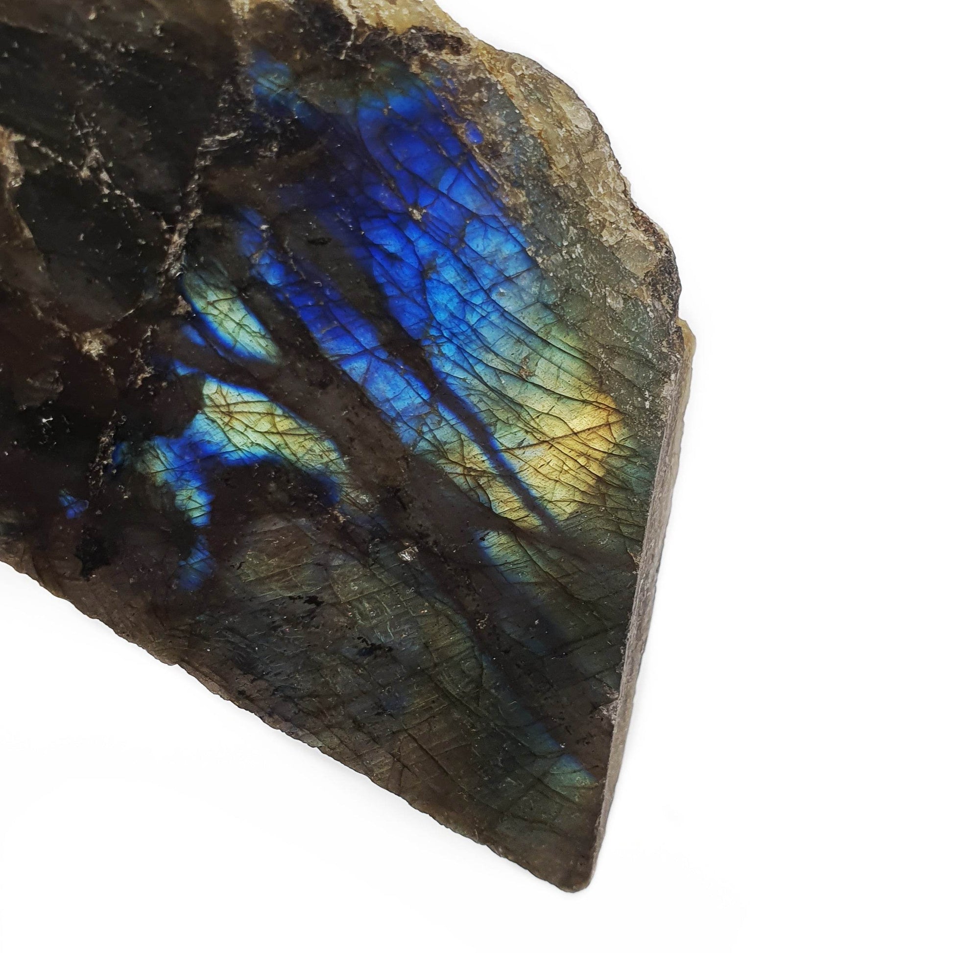 Semi Polished Labradorite - Daughter of Swords