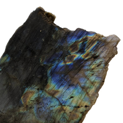 Semi Polished Labradorite - Daughter of Swords