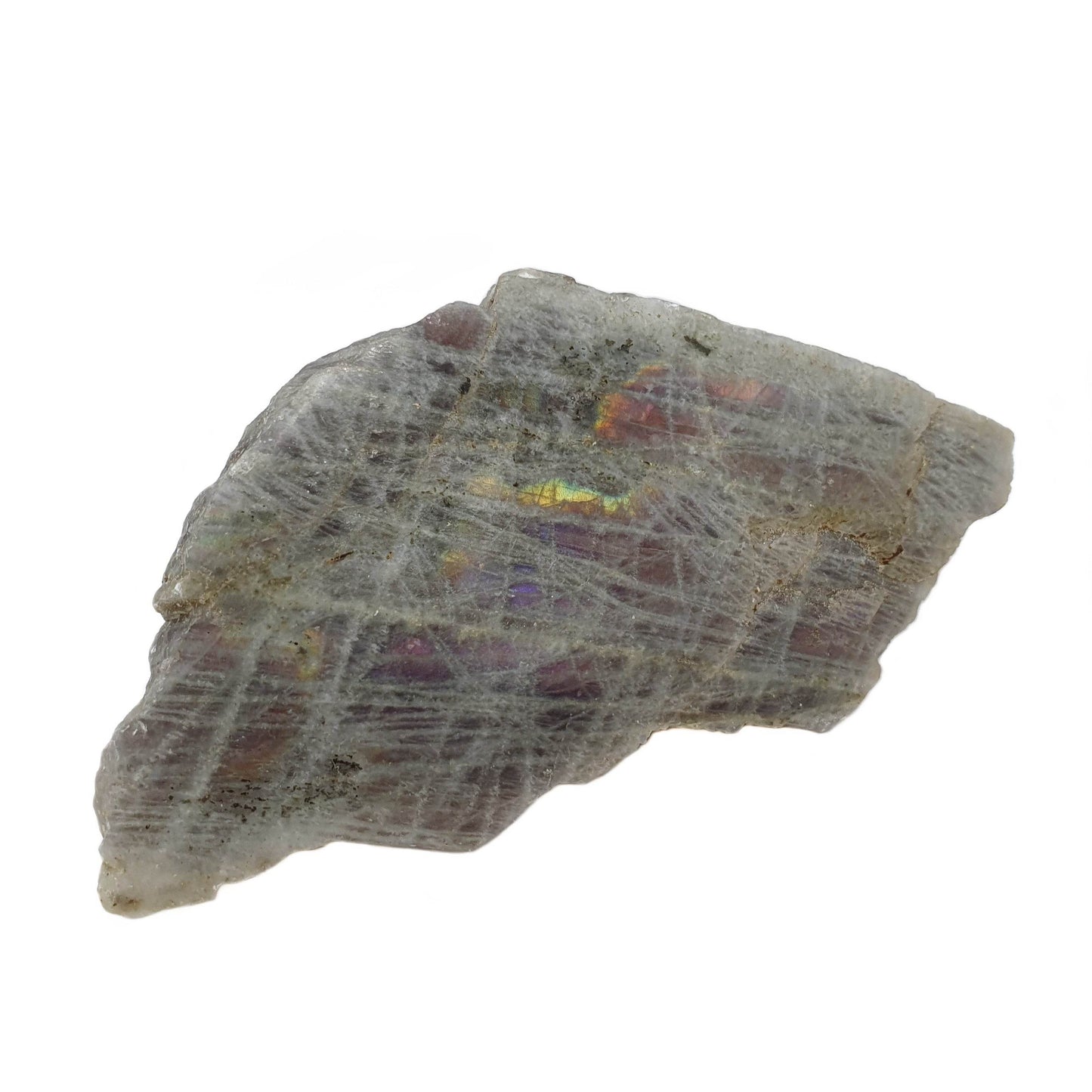 Semi Polished Labradorite - Daughter of Swords