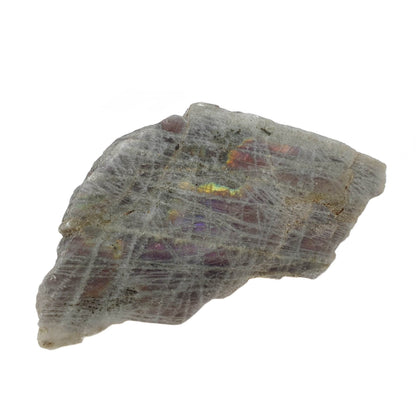 Semi Polished Labradorite - Daughter of Swords