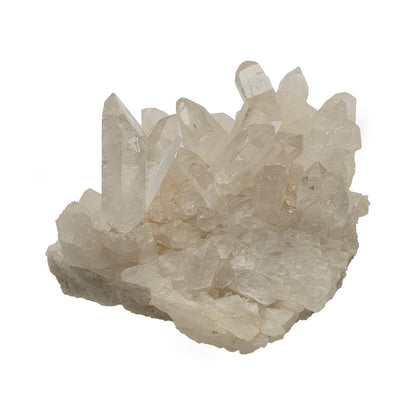Himalayan Quartz Cluster - Daughter of Swords