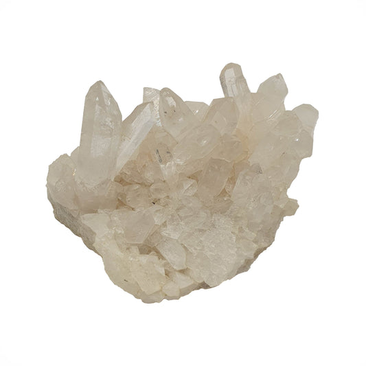 Himalayan Quartz Cluster - Daughter of Swords