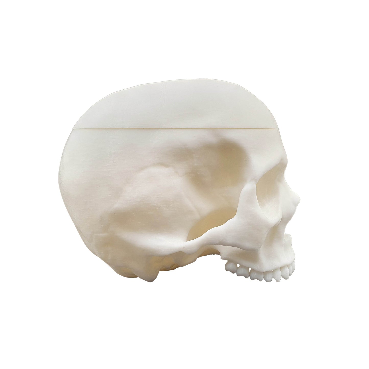 Skull Trinket Box - Daughter of Swords