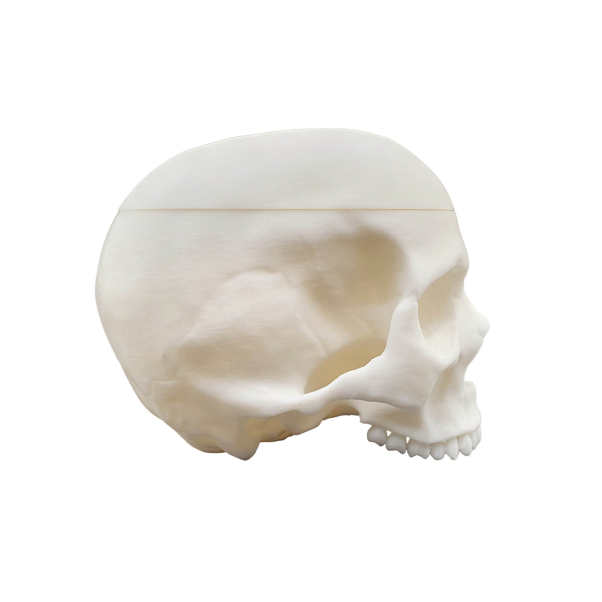 Skull Trinket Box - Daughter of Swords