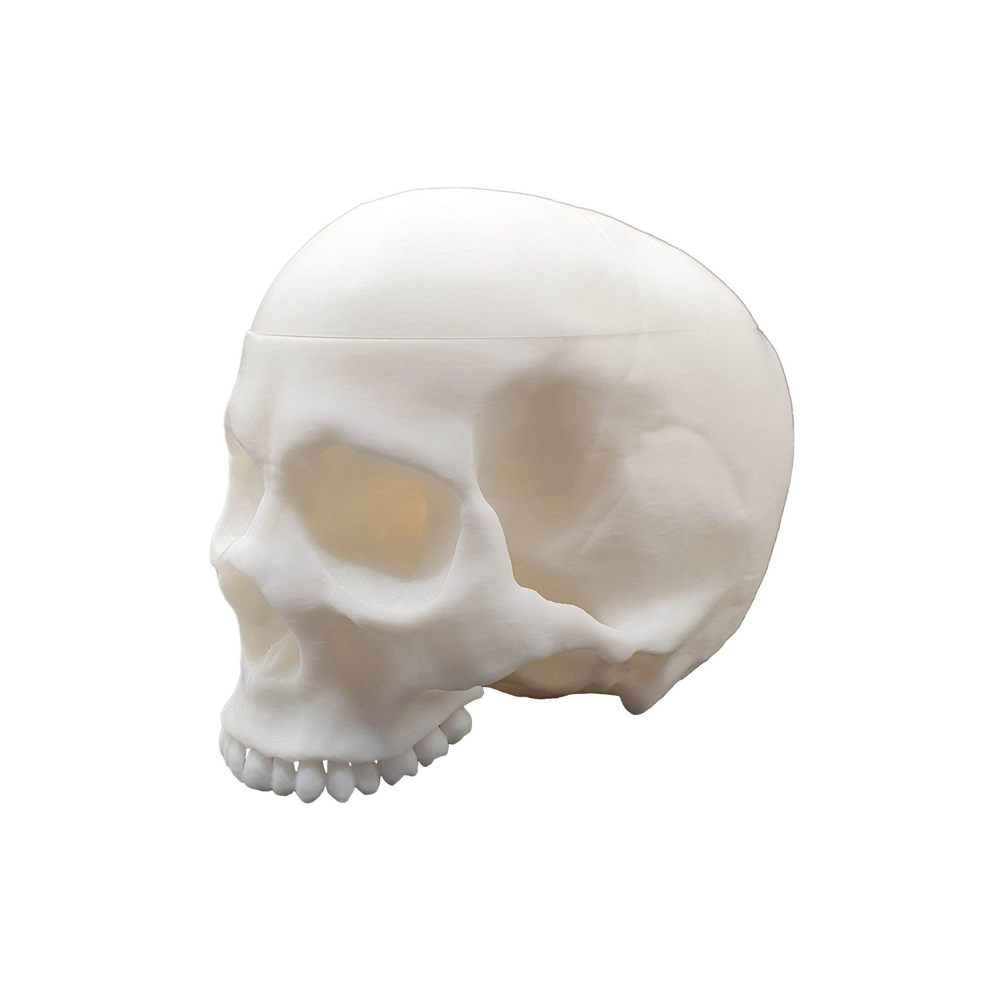 Skull Trinket Box - Daughter of Swords