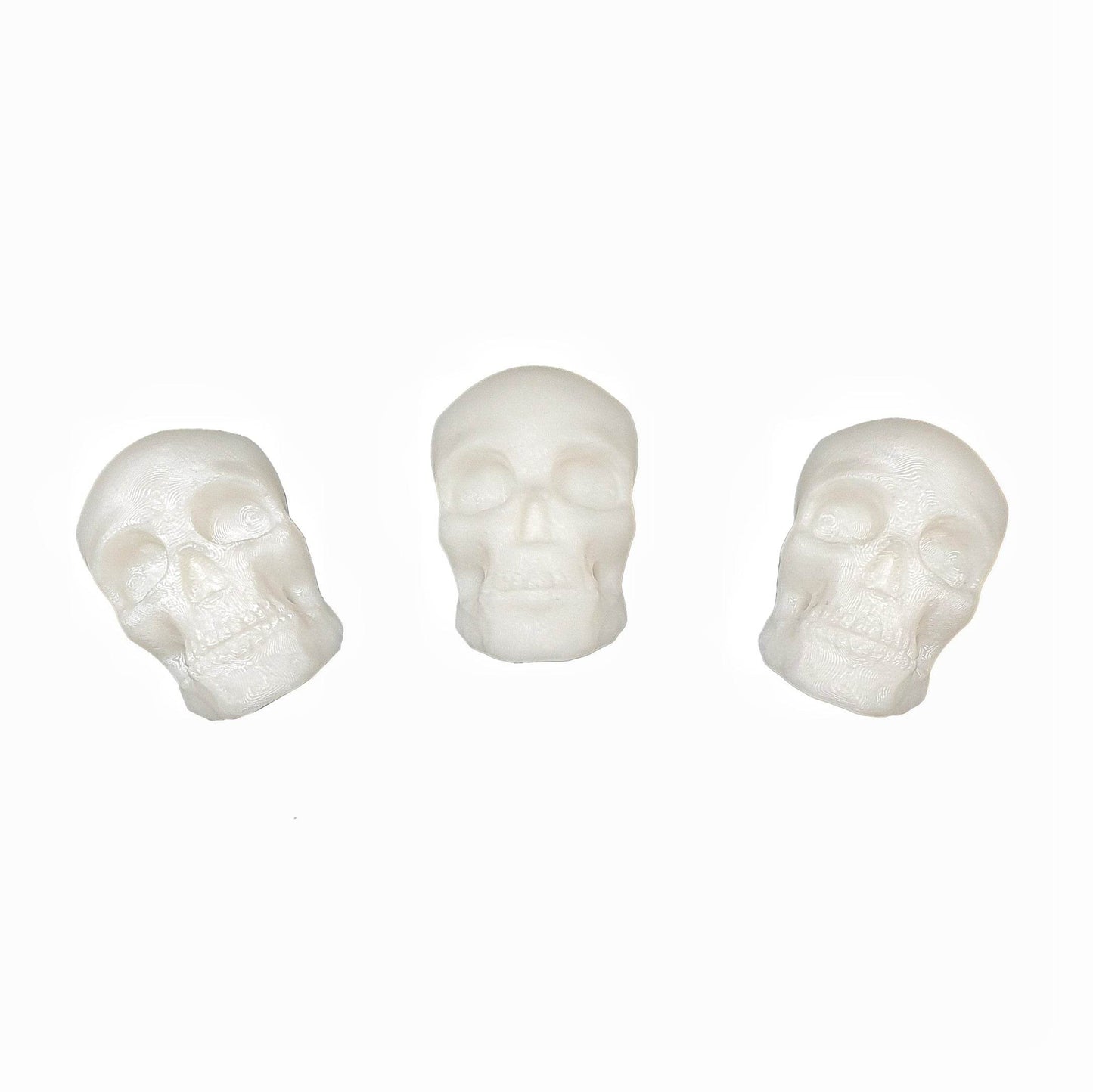 Skull Magnets Set - Daughter of Swords