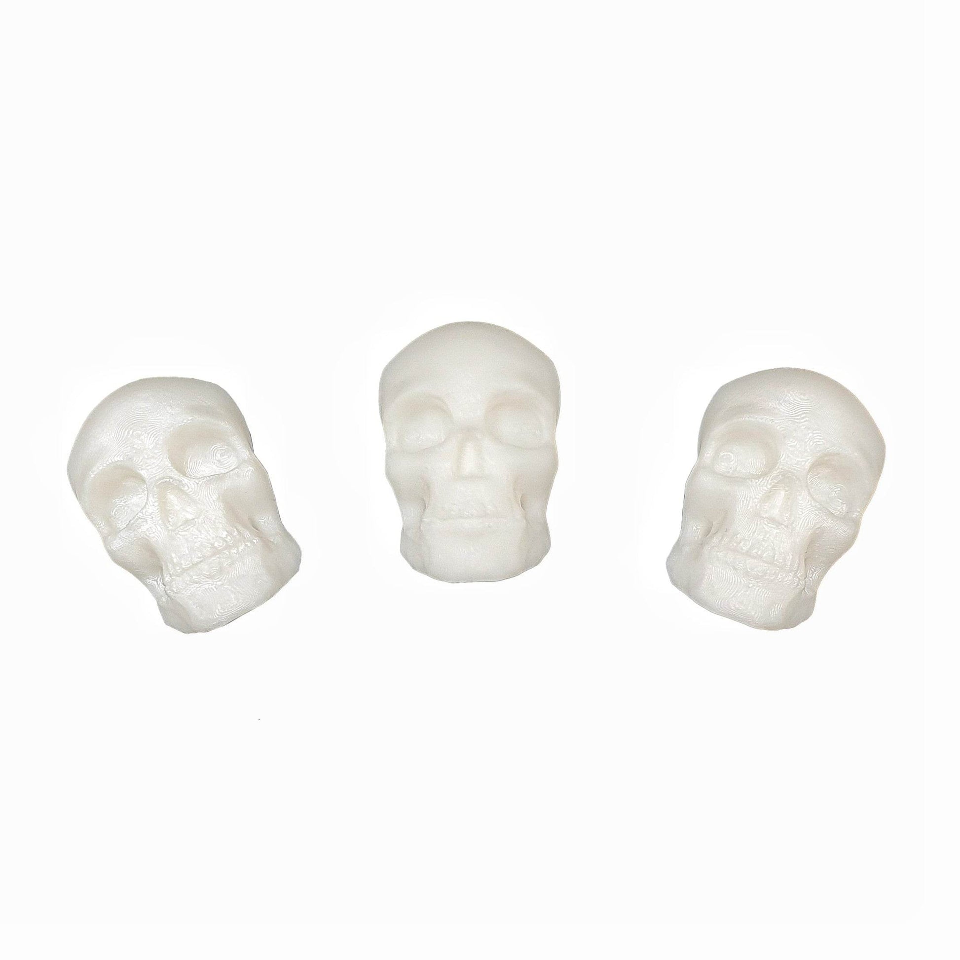 Skull Magnets Set - Daughter of Swords