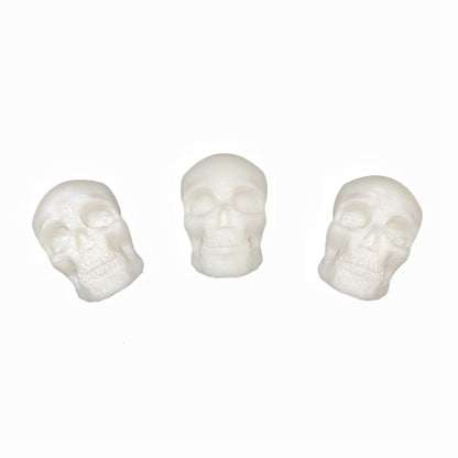 Skull Magnets Set - Daughter of Swords