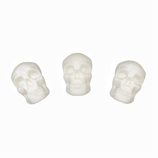Skull Magnets Set
