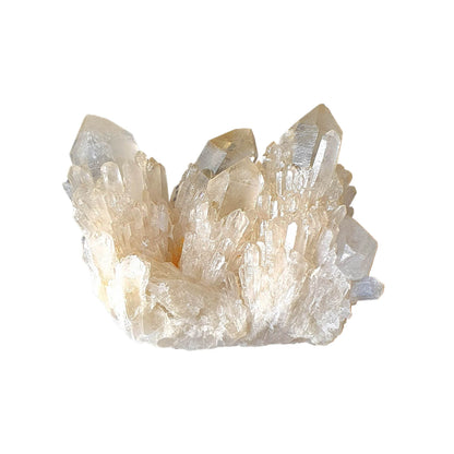 Kundalini Citrine Cluster - Daughter of Swords