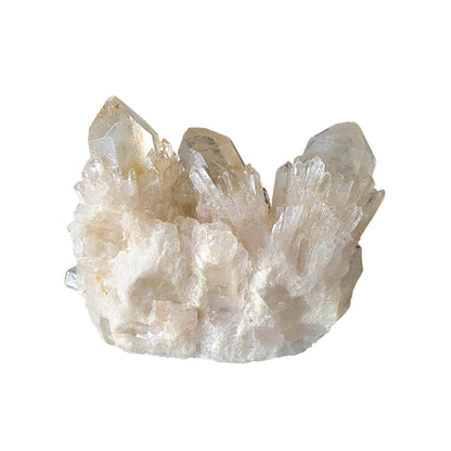 Kundalini Citrine Cluster - Daughter of Swords