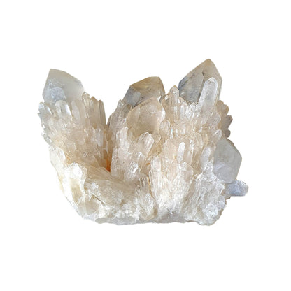 Kundalini Citrine Cluster - Daughter of Swords