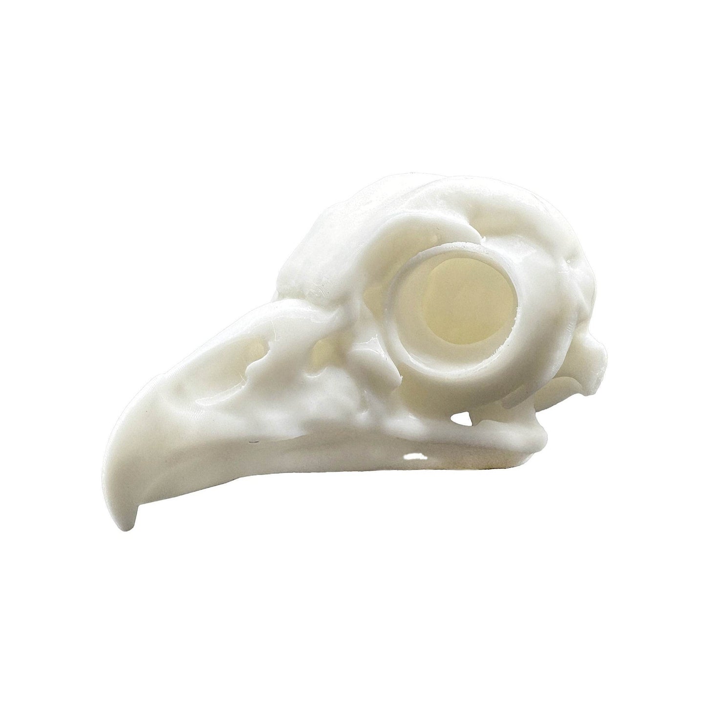 Owl Skull - Daughter of Swords