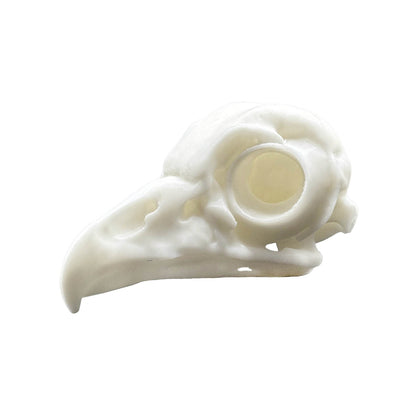 Owl Skull - Daughter of Swords