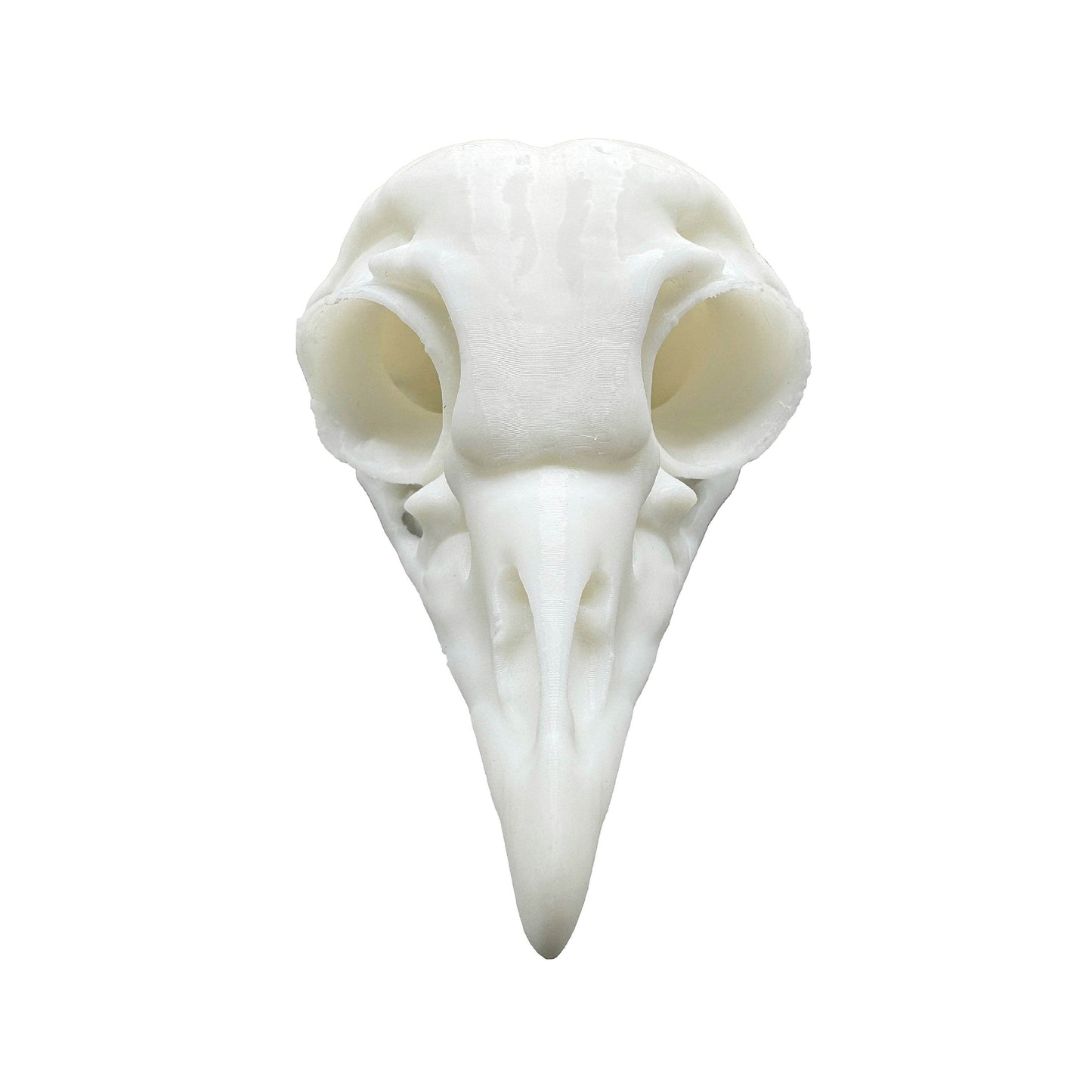 Owl Skull - Daughter of Swords