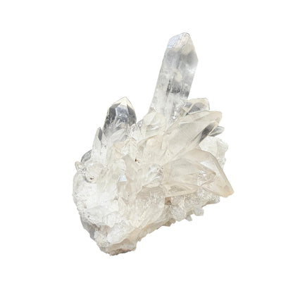 Clear Quartz Cluster