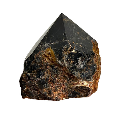 Black Onyx Semi Polished Point