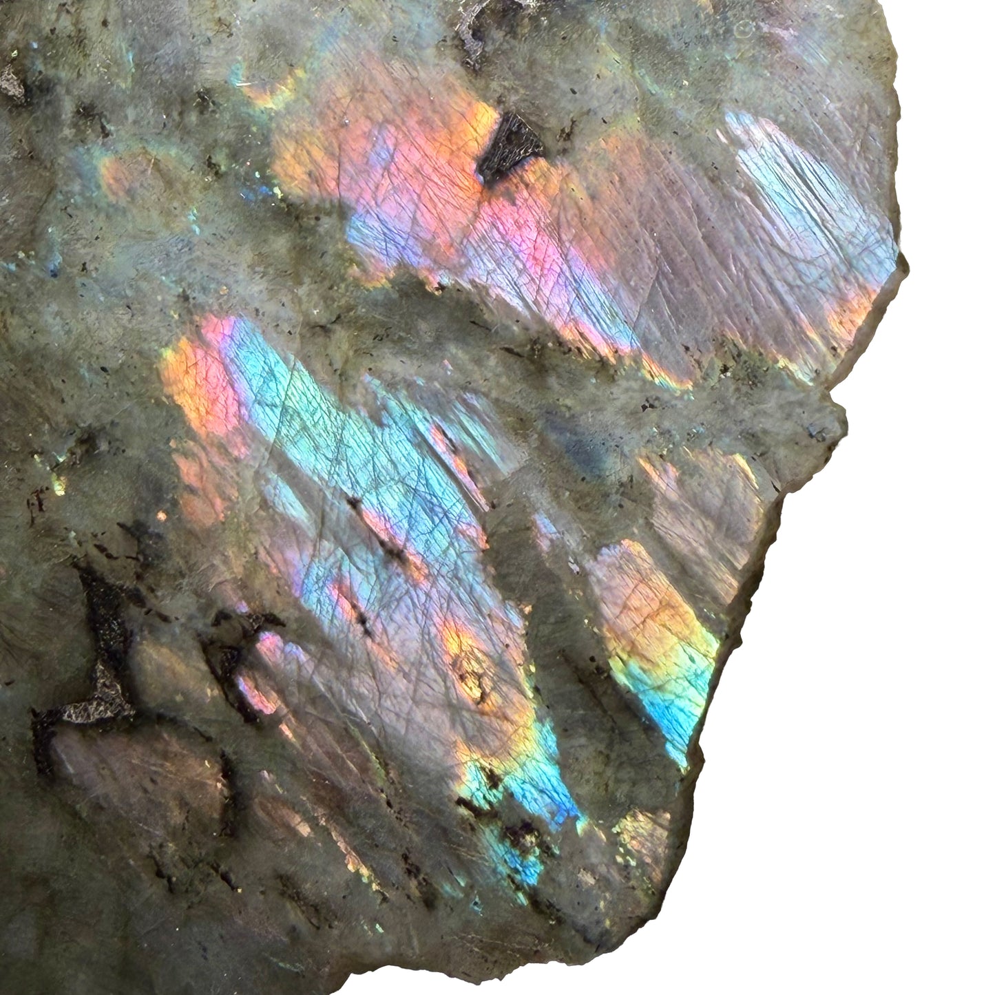 Labradorite Polished Slice