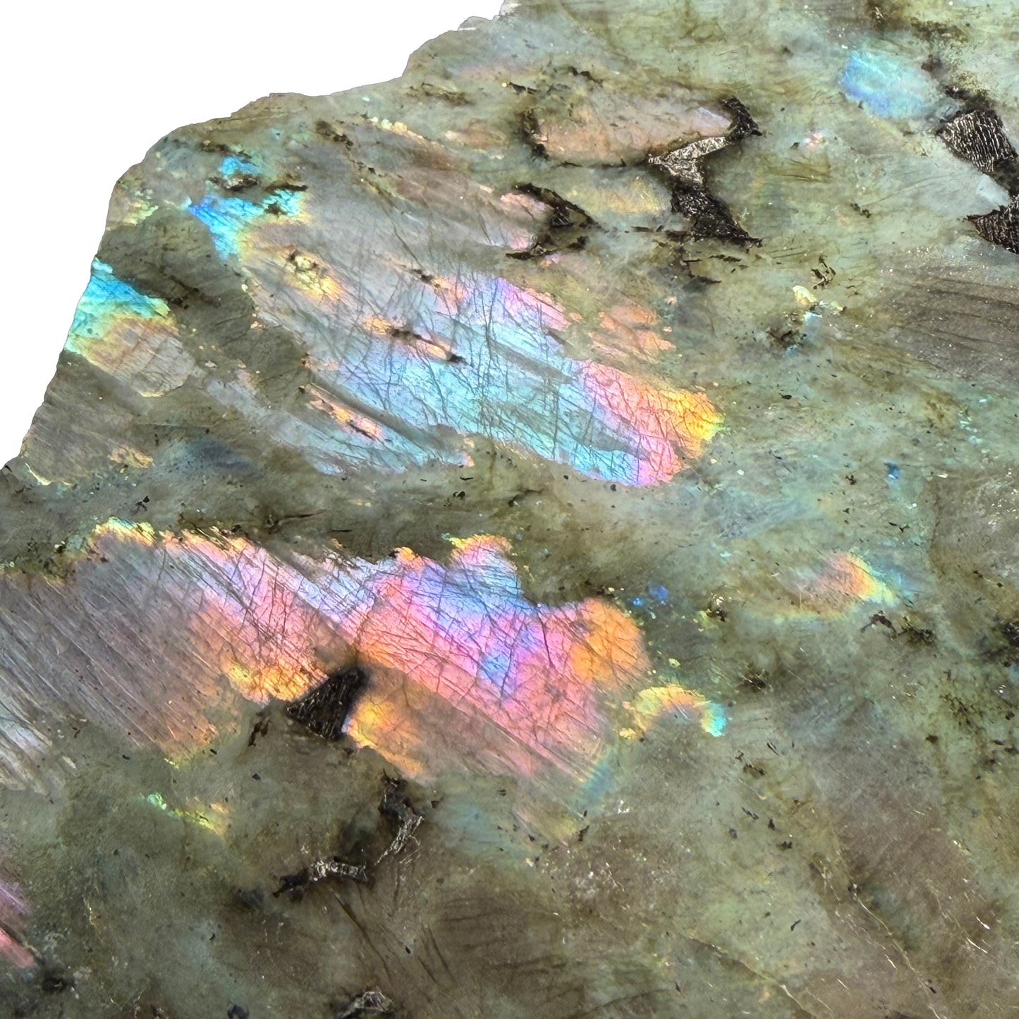 Labradorite Polished Slice