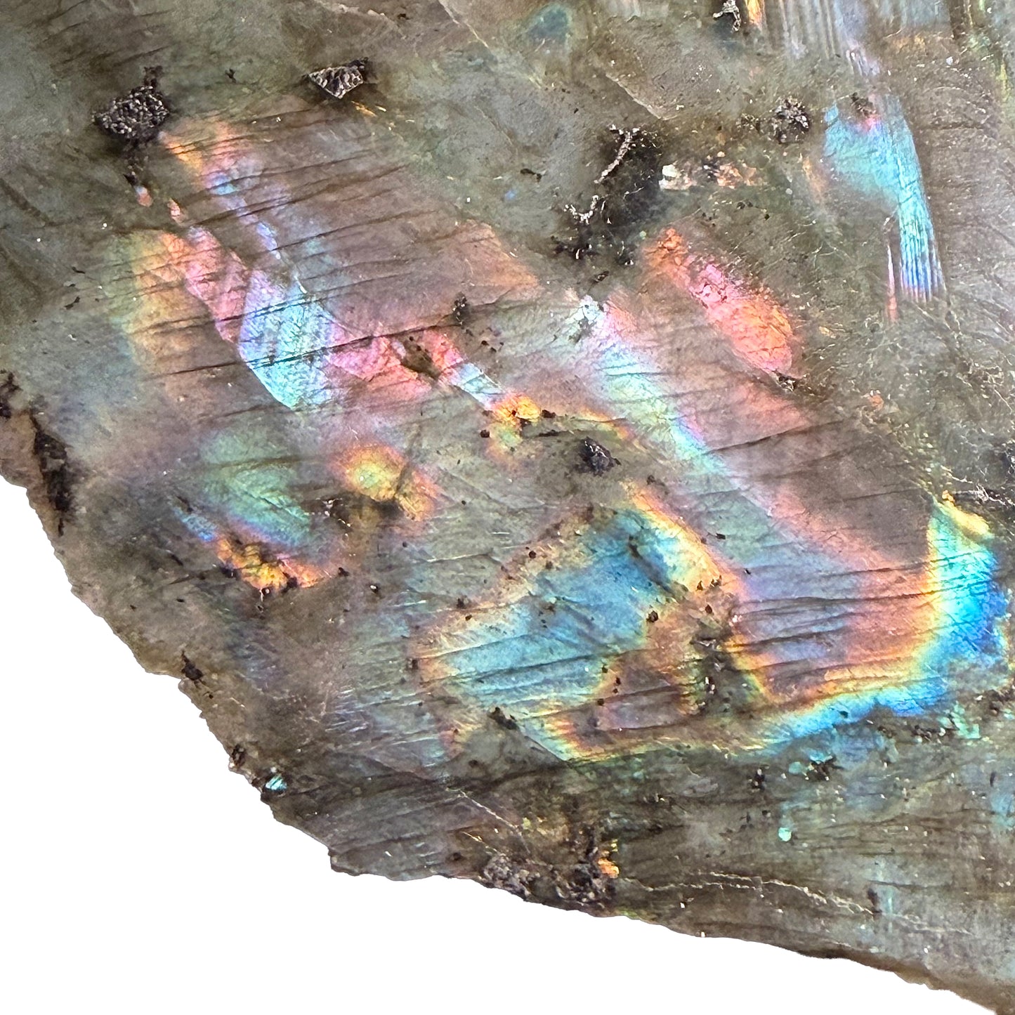 Labradorite Polished Slice