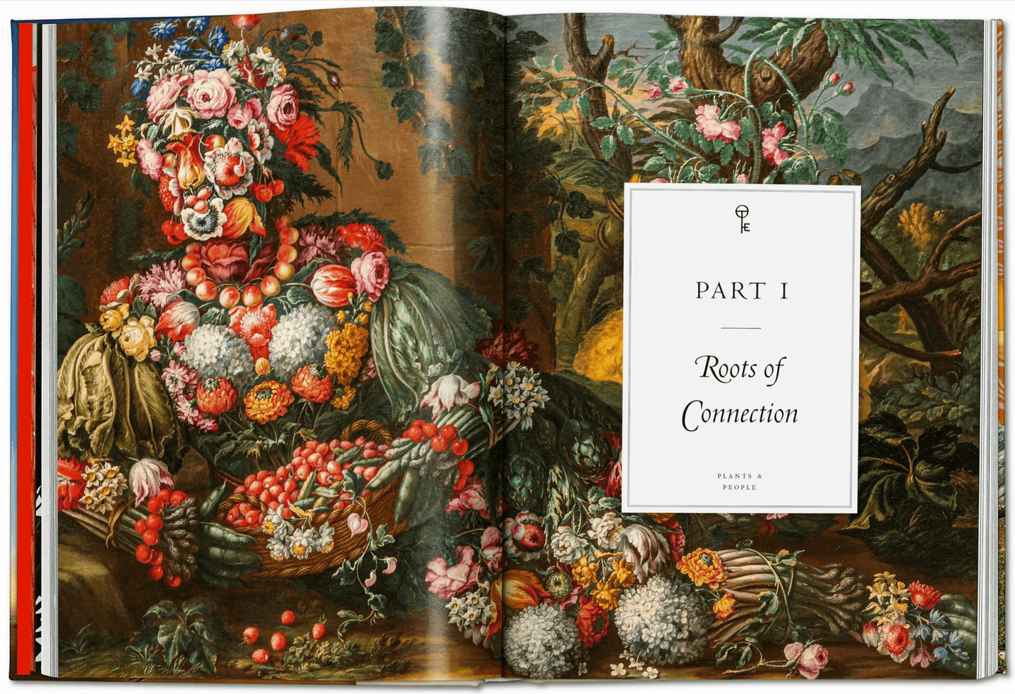 Plant Magick. The Libary of Esoterica - Daughter of Swords