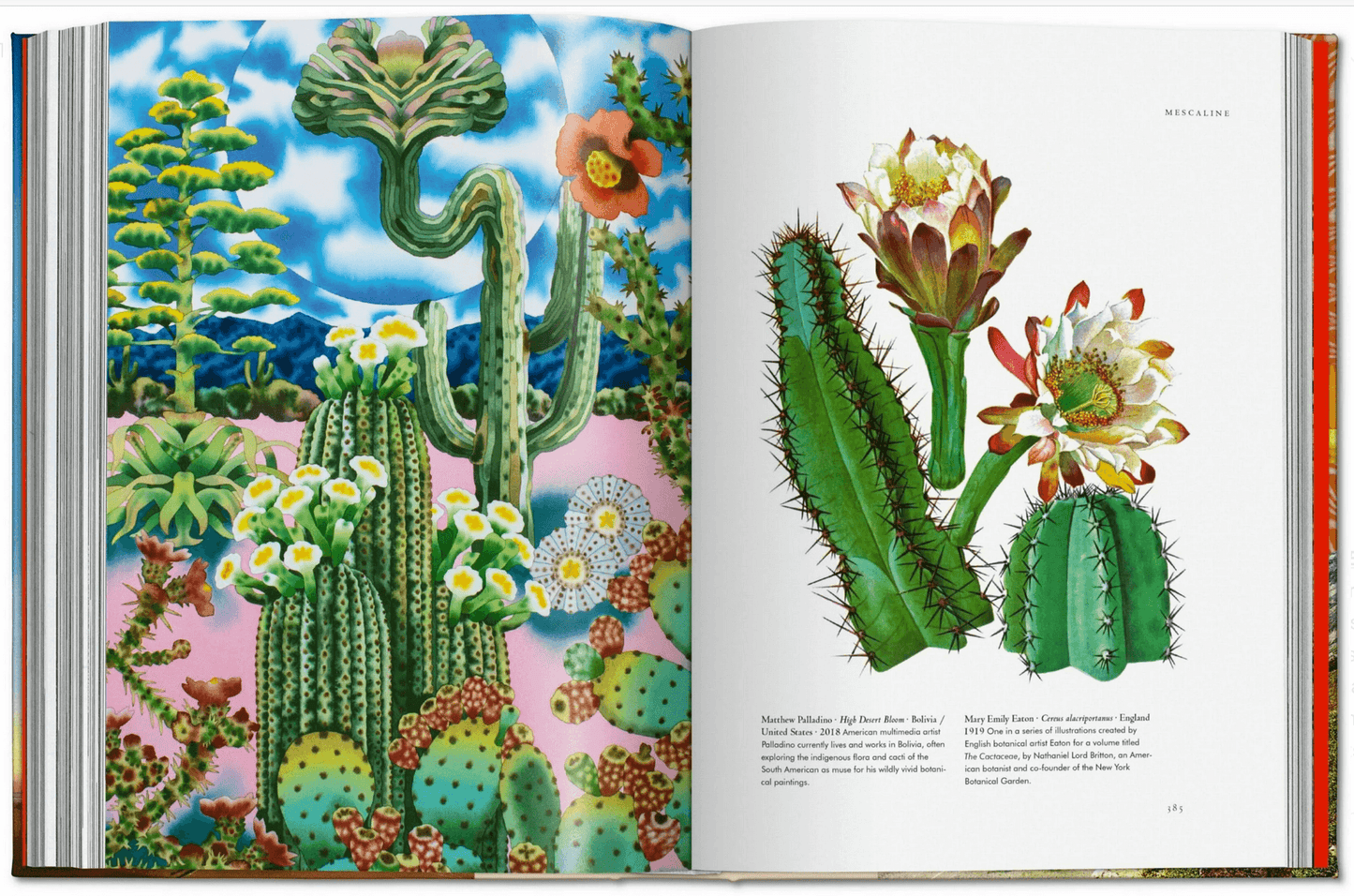 Plant Magick. The Libary of Esoterica - Daughter of Swords