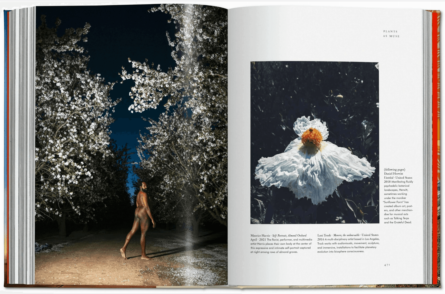 Plant Magick. The Libary of Esoterica - Daughter of Swords