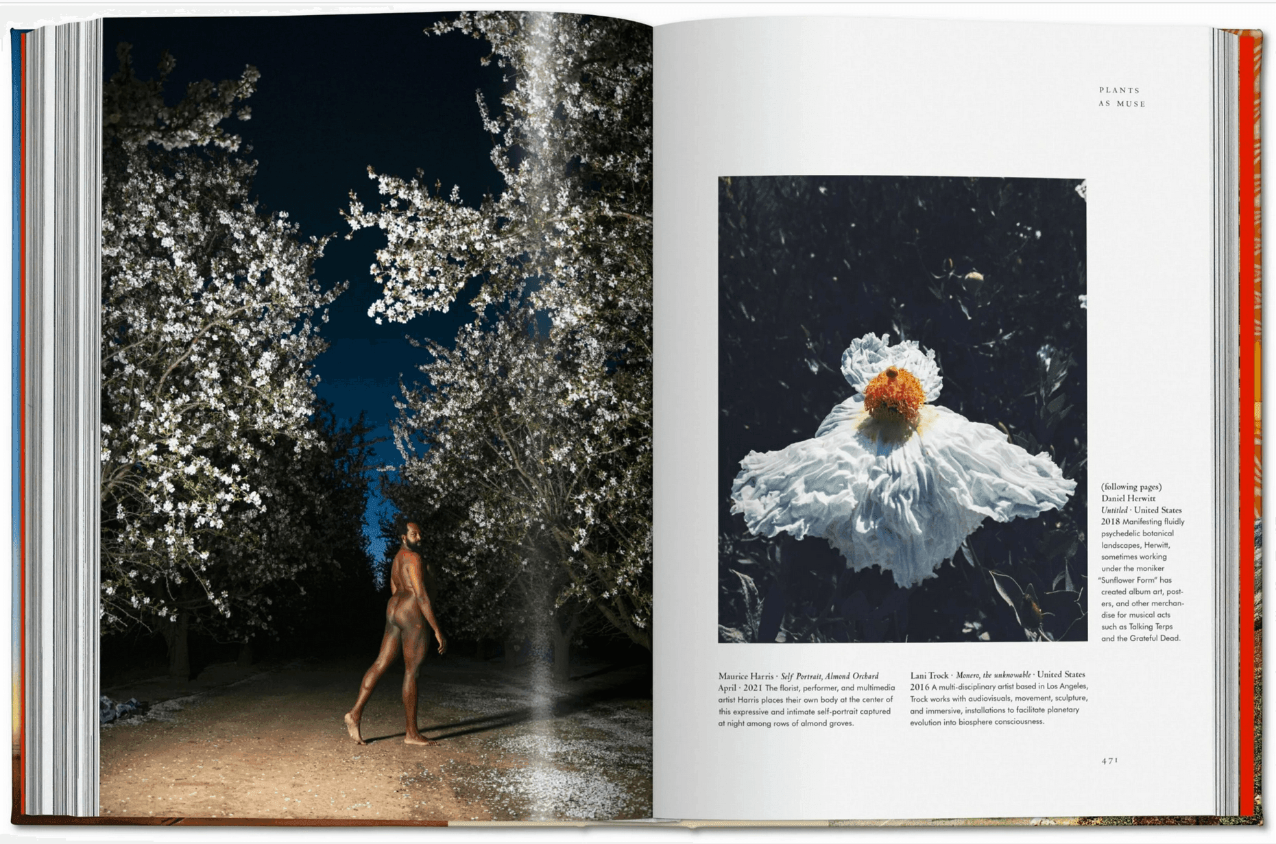 Plant Magick. The Libary of Esoterica - Daughter of Swords