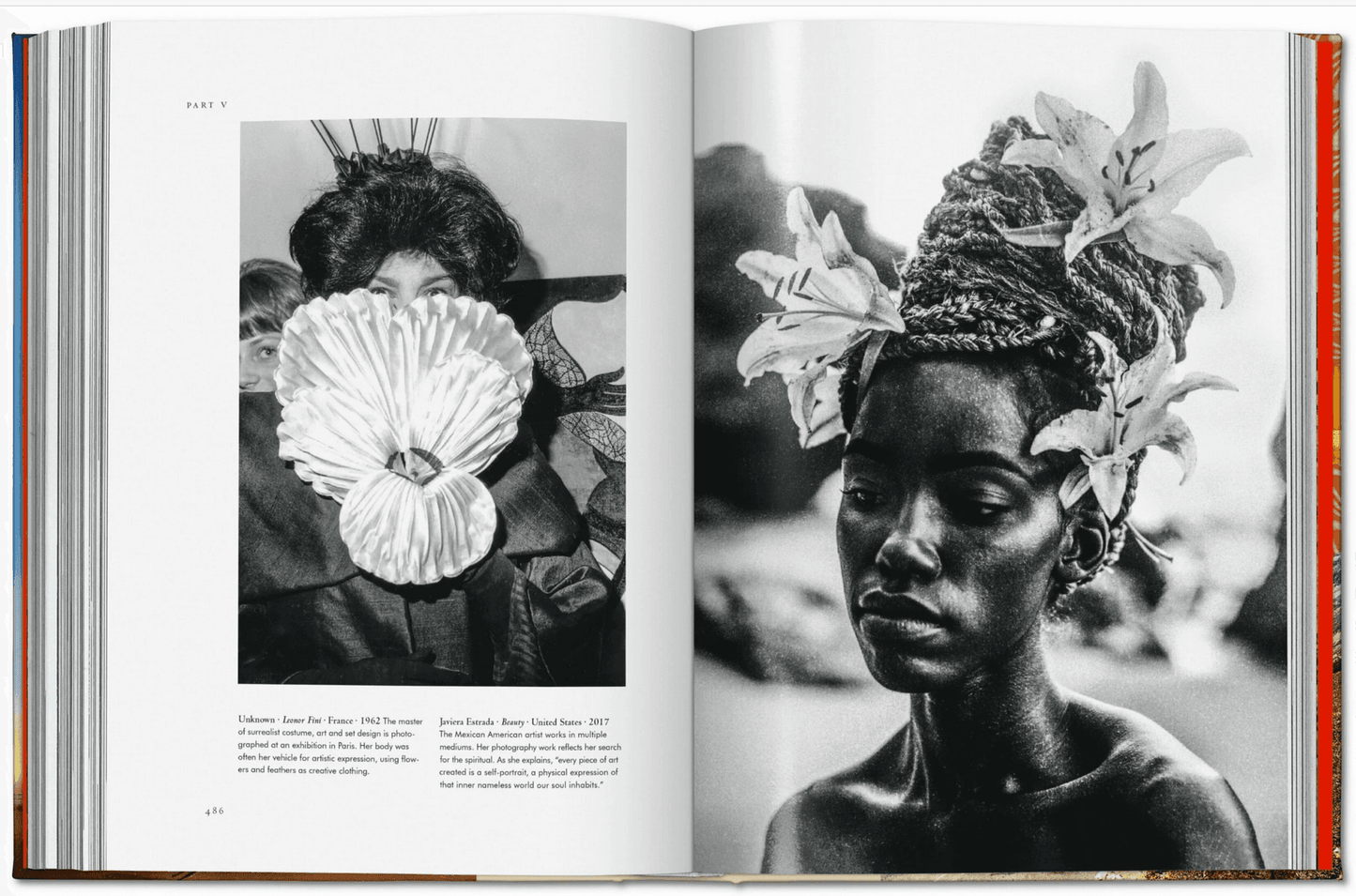 Plant Magick. The Libary of Esoterica - Daughter of Swords