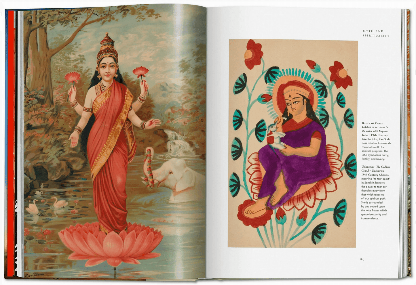 Plant Magick. The Libary of Esoterica - Daughter of Swords