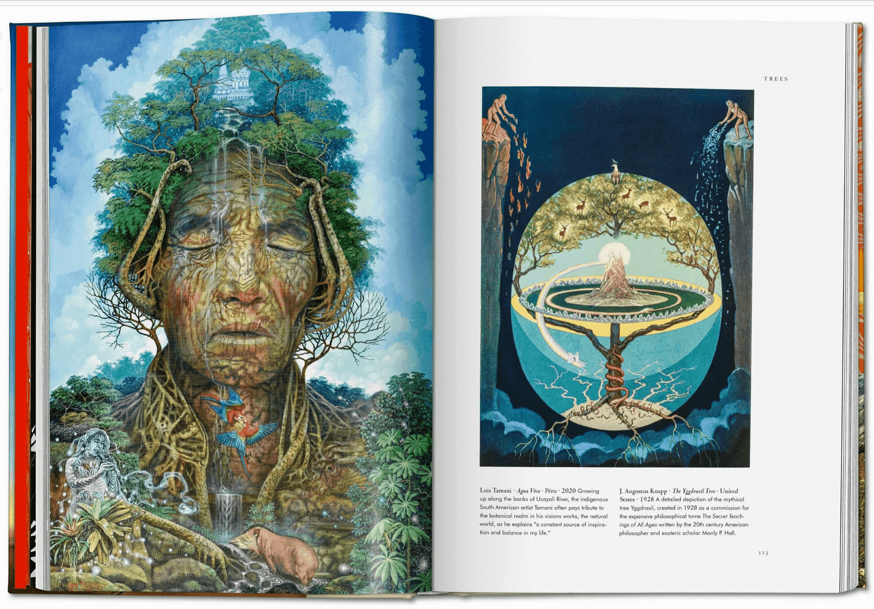 Plant Magick. The Libary of Esoterica - Daughter of Swords