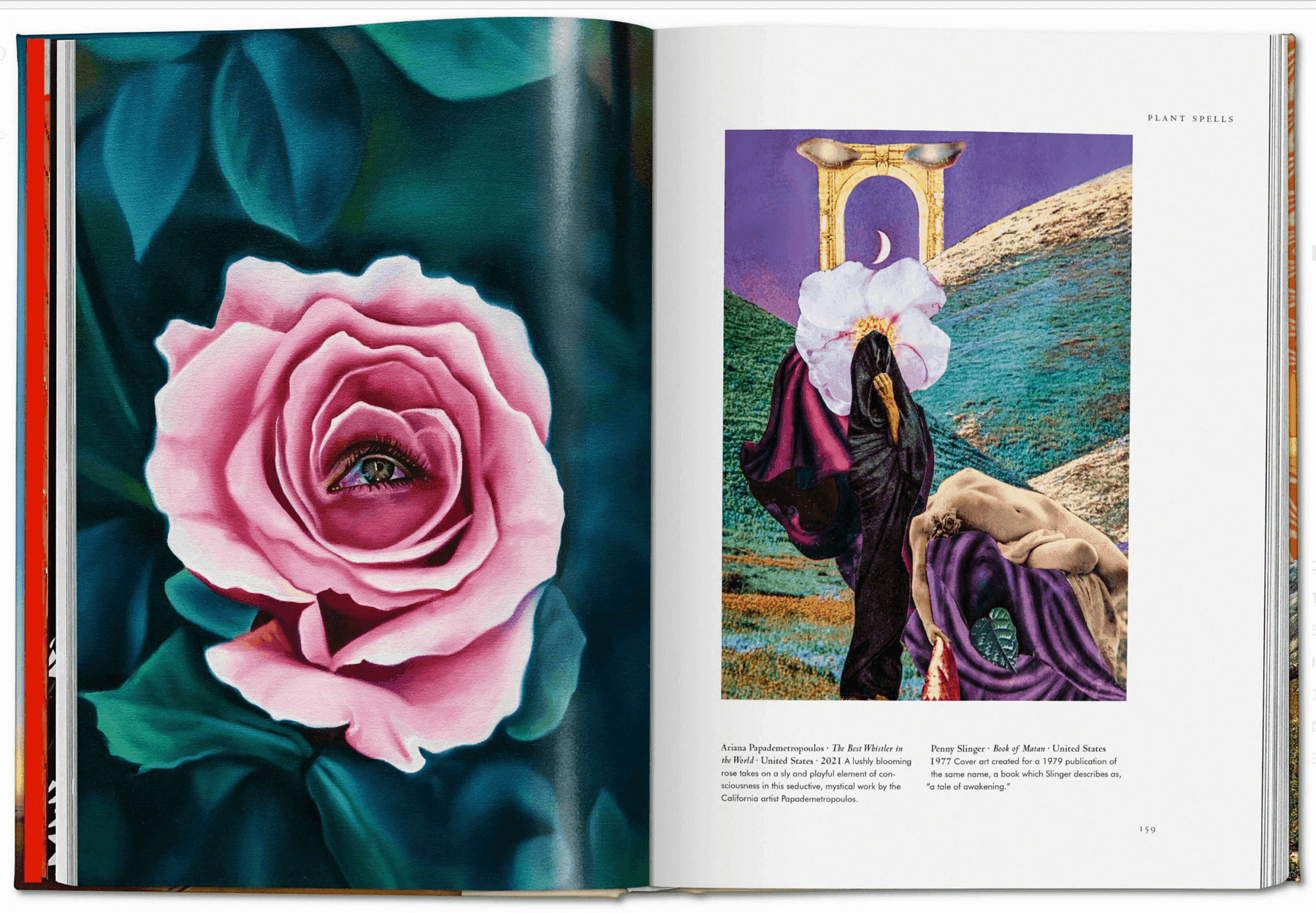 Plant Magick. The Libary of Esoterica - Daughter of Swords