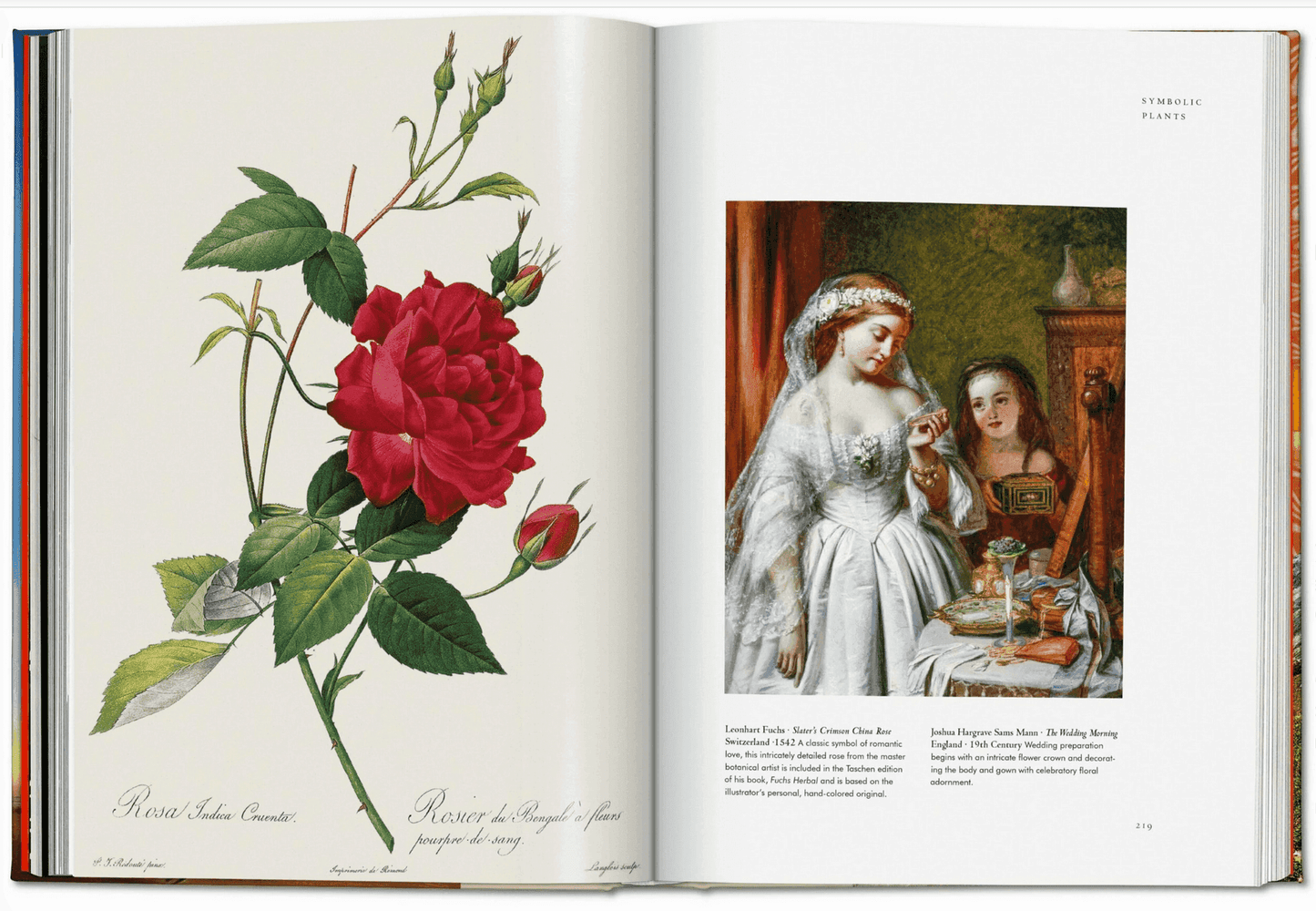 Plant Magick. The Libary of Esoterica - Daughter of Swords