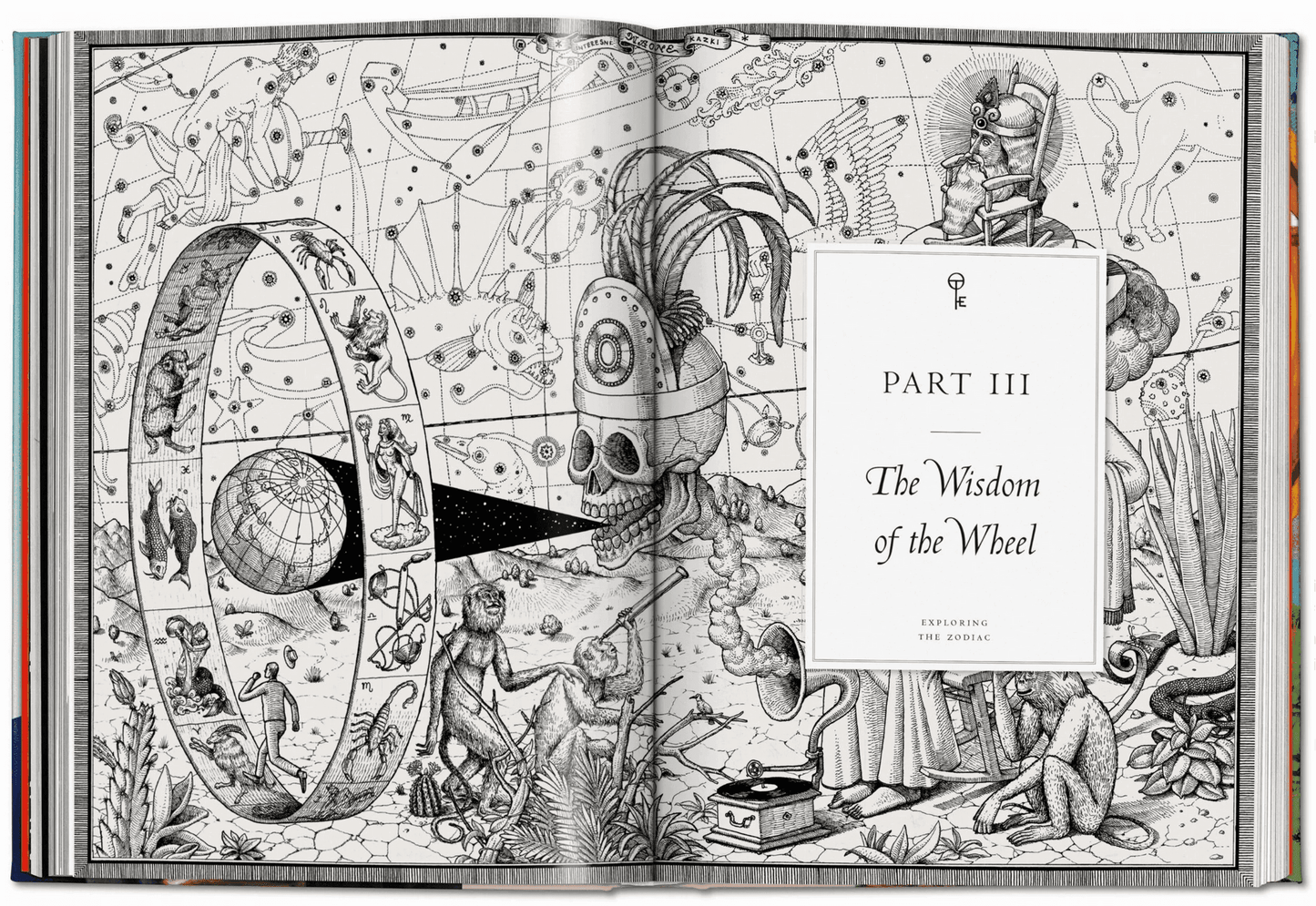 Astrology. The Library of Esoterica - Daughter of Swords