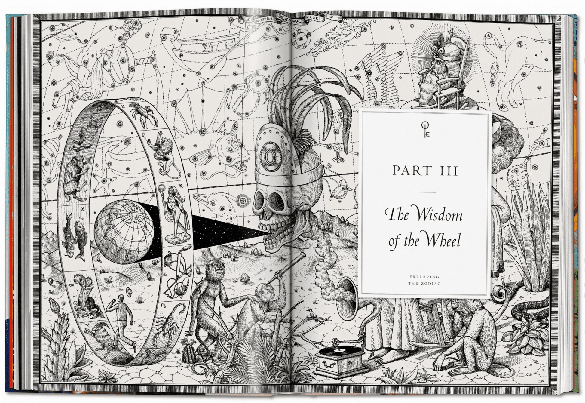 Astrology. The Library of Esoterica - Daughter of Swords