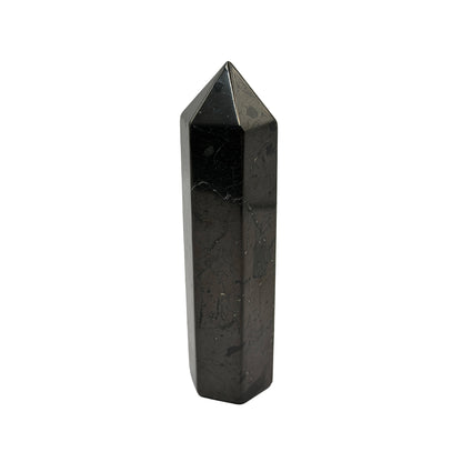 Shungite Polished Point