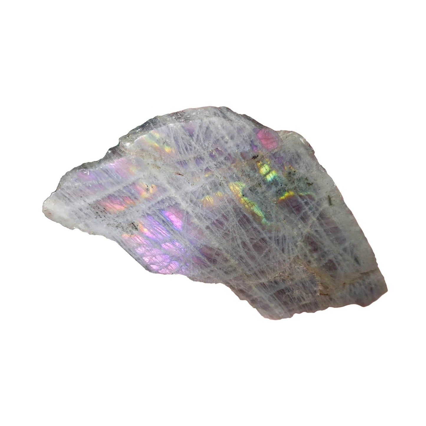 Semi Polished Labradorite - Daughter of Swords