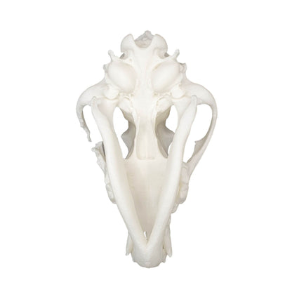 Wolf Skull - Daughter of Swords