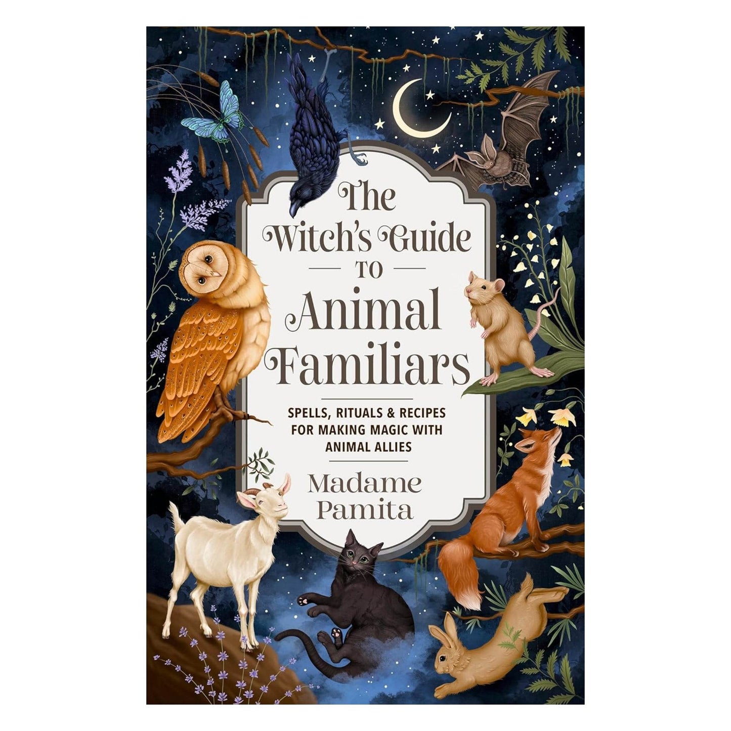The Witch's Guide to Animal Familiars - Daughter of Swords