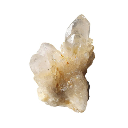 Kundalini Citrine Cluster - Daughter of Swords