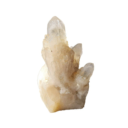 Kundalini Citrine Cluster - Daughter of Swords