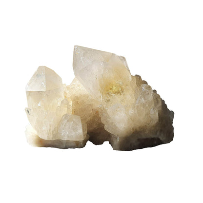 Kundalini Citrine Cluster - Daughter of Swords