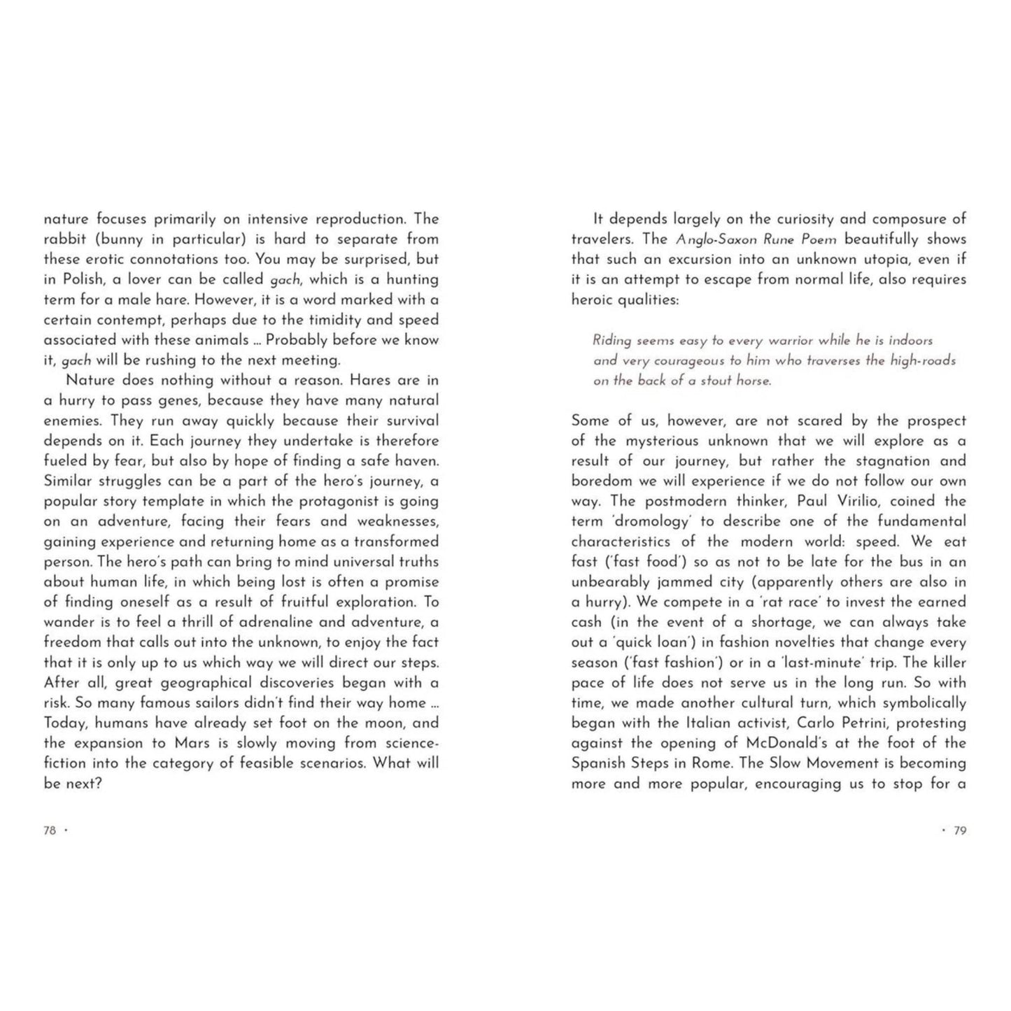 Animal Guide Rune Cards - Daughter of Swords