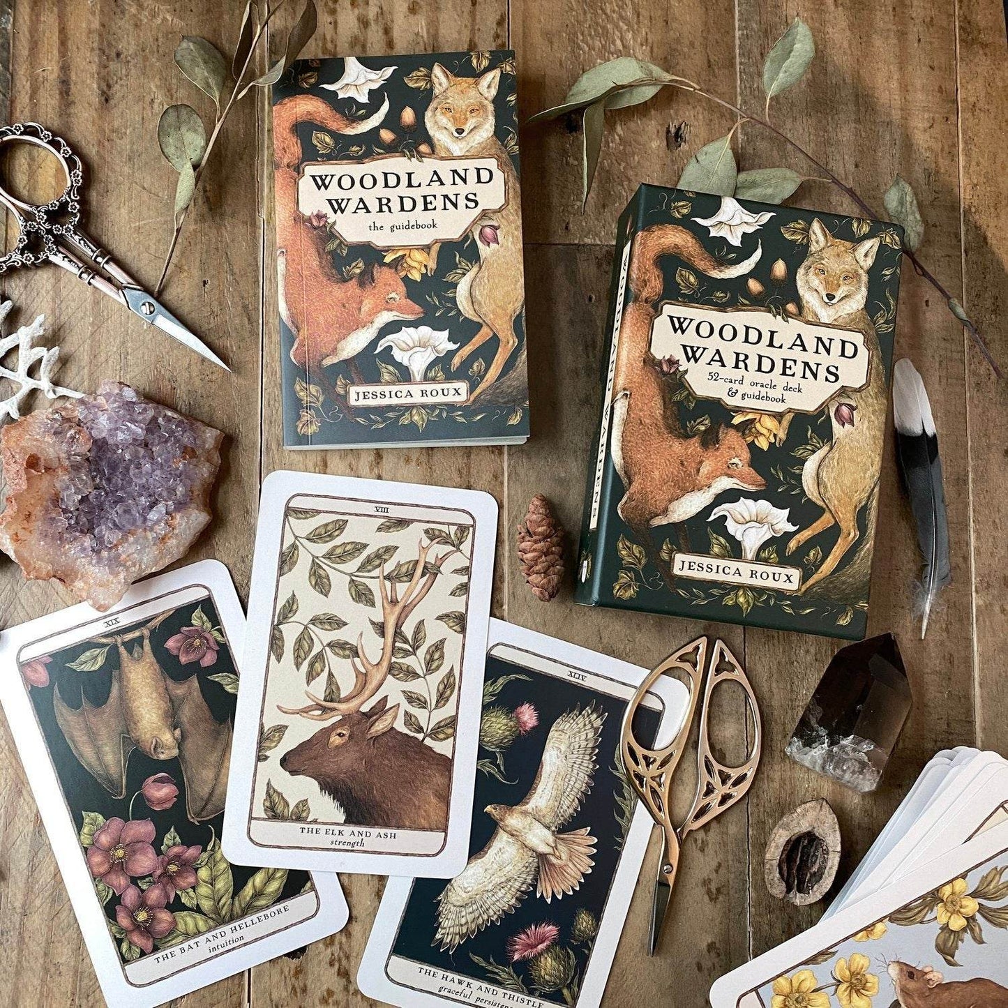 Woodland Wardens Oracle Deck - Daughter of Swords